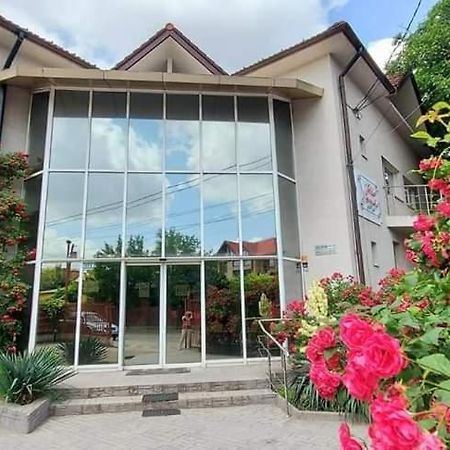 Villa Grande Iasi Extérieur photo
