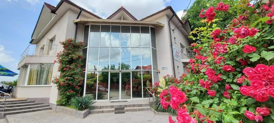 Villa Grande Iasi Extérieur photo